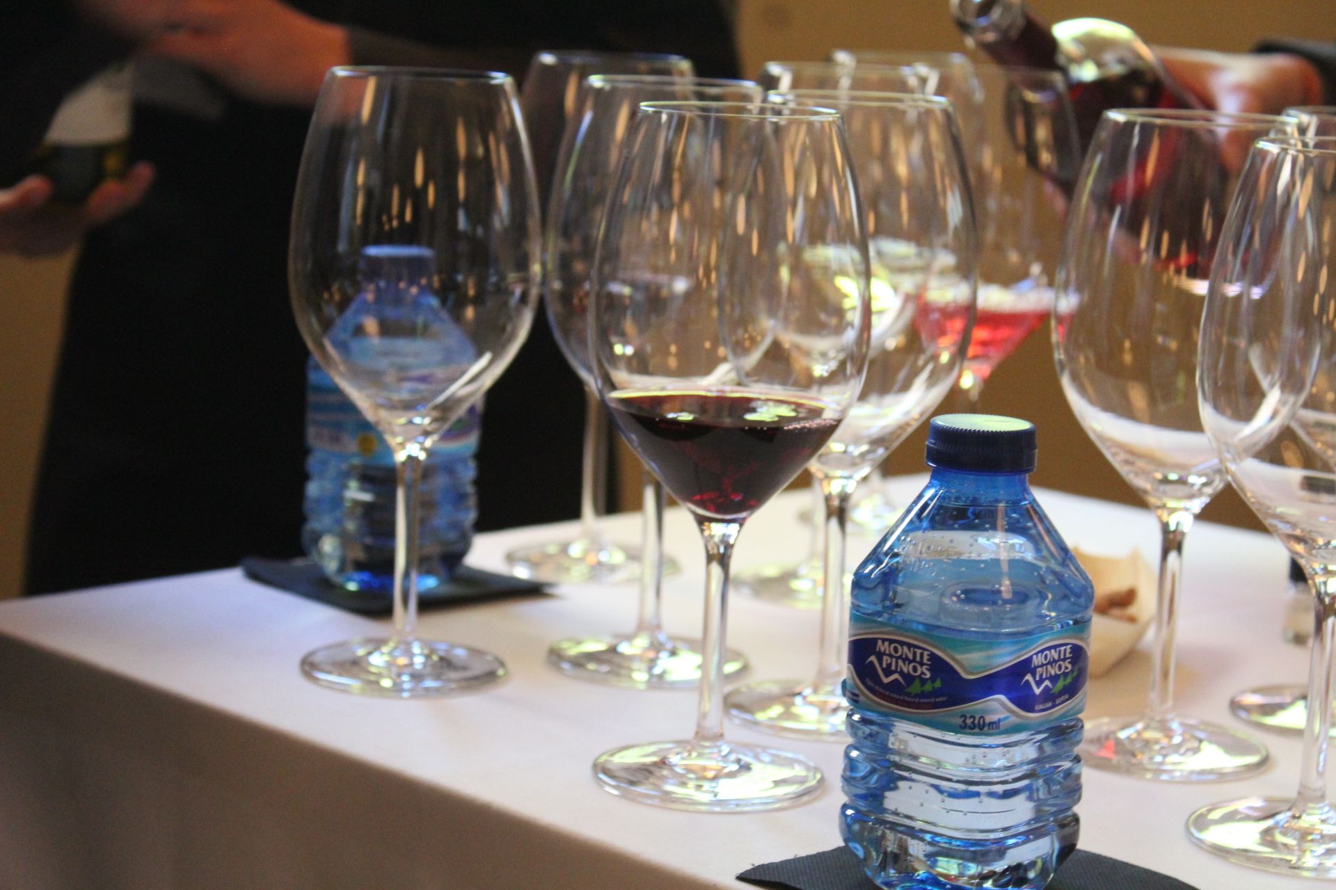 Segunda jornada del Congreso Duero Wine Fest. Fotos Carlos H.G