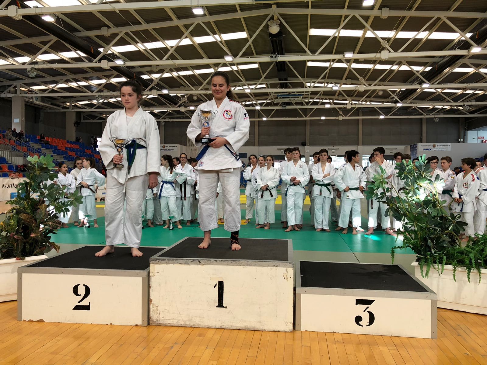  Campeonato autonómico Judo (20) 