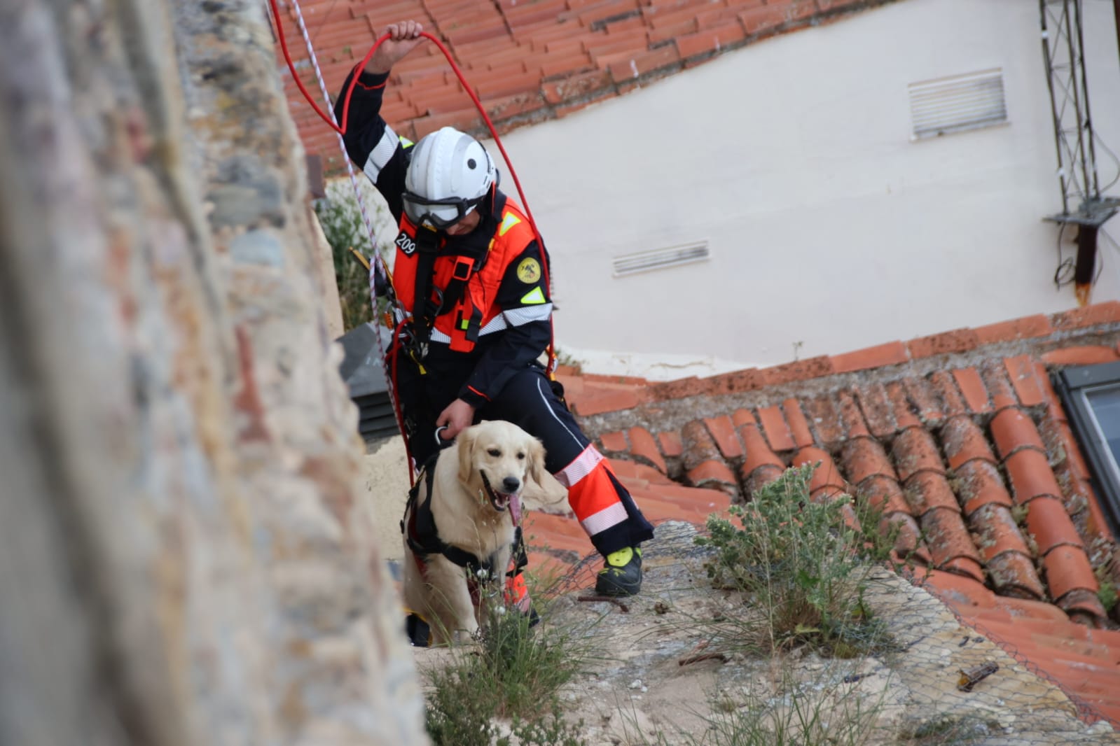 Los bomberos rescatan a un perro en el Jardín Botánico de Salamanca. Fotos Andrea M.  (9)