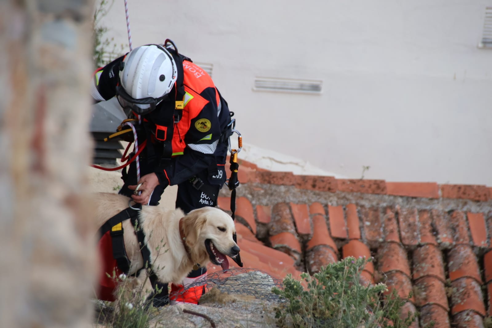 Los bomberos rescatan a un perro en el Jardín Botánico de Salamanca. Fotos Andrea M.  (10)