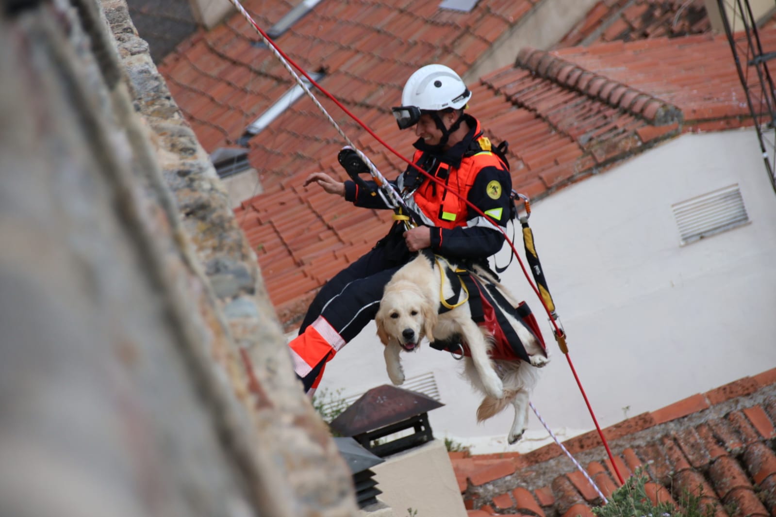 Los bomberos rescatan a un perro en el Jardín Botánico de Salamanca. Fotos Andrea M.  (11)