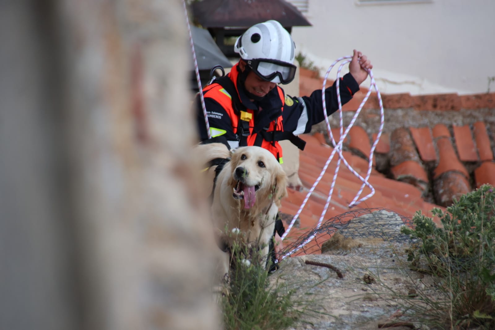 Los bomberos rescatan a un perro en el Jardín Botánico de Salamanca. Fotos Andrea M.  (12)