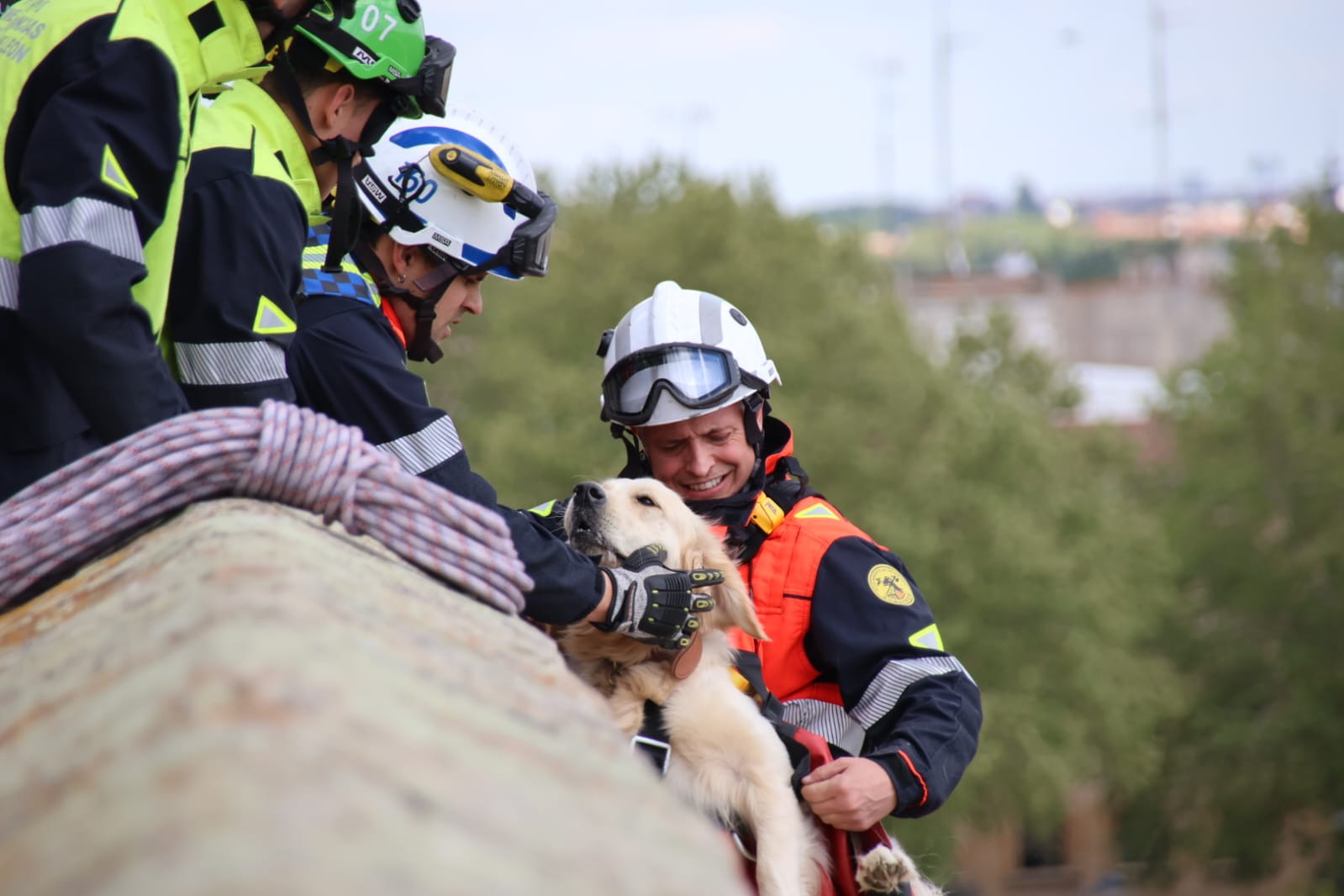 Los bomberos rescatan a un perro en el Jardín Botánico de Salamanca. Fotos Andrea M.  (14)