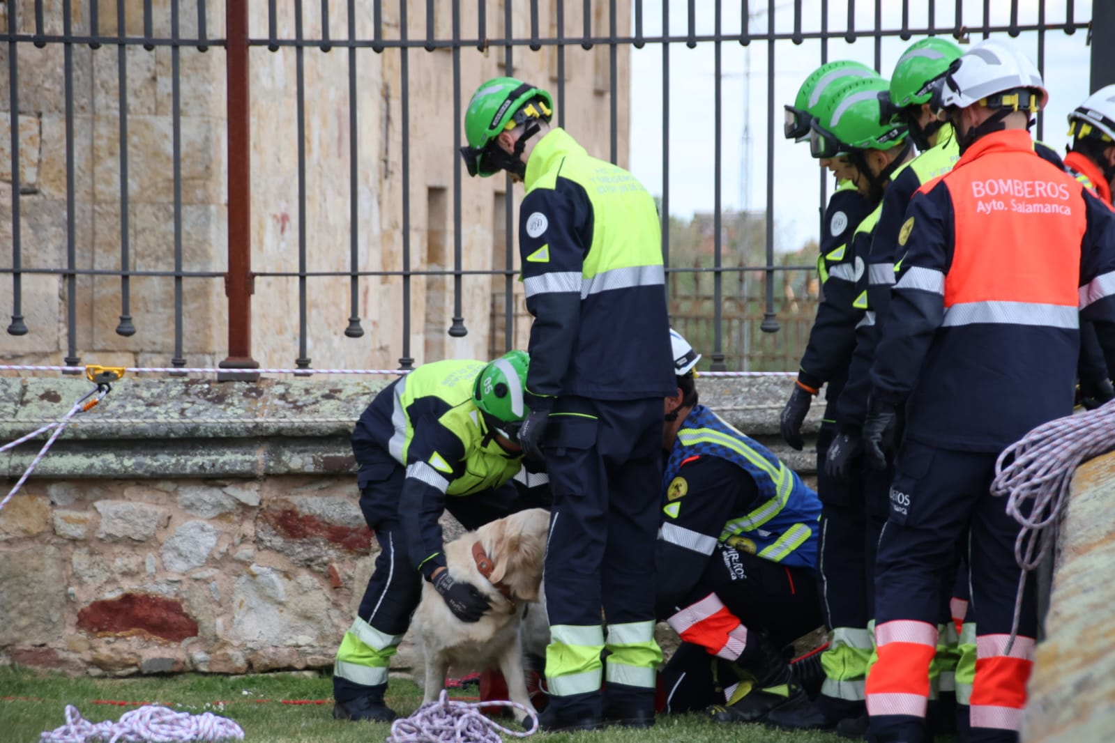 Los bomberos rescatan a un perro en el Jardín Botánico de Salamanca. Fotos Andrea M.  (15)