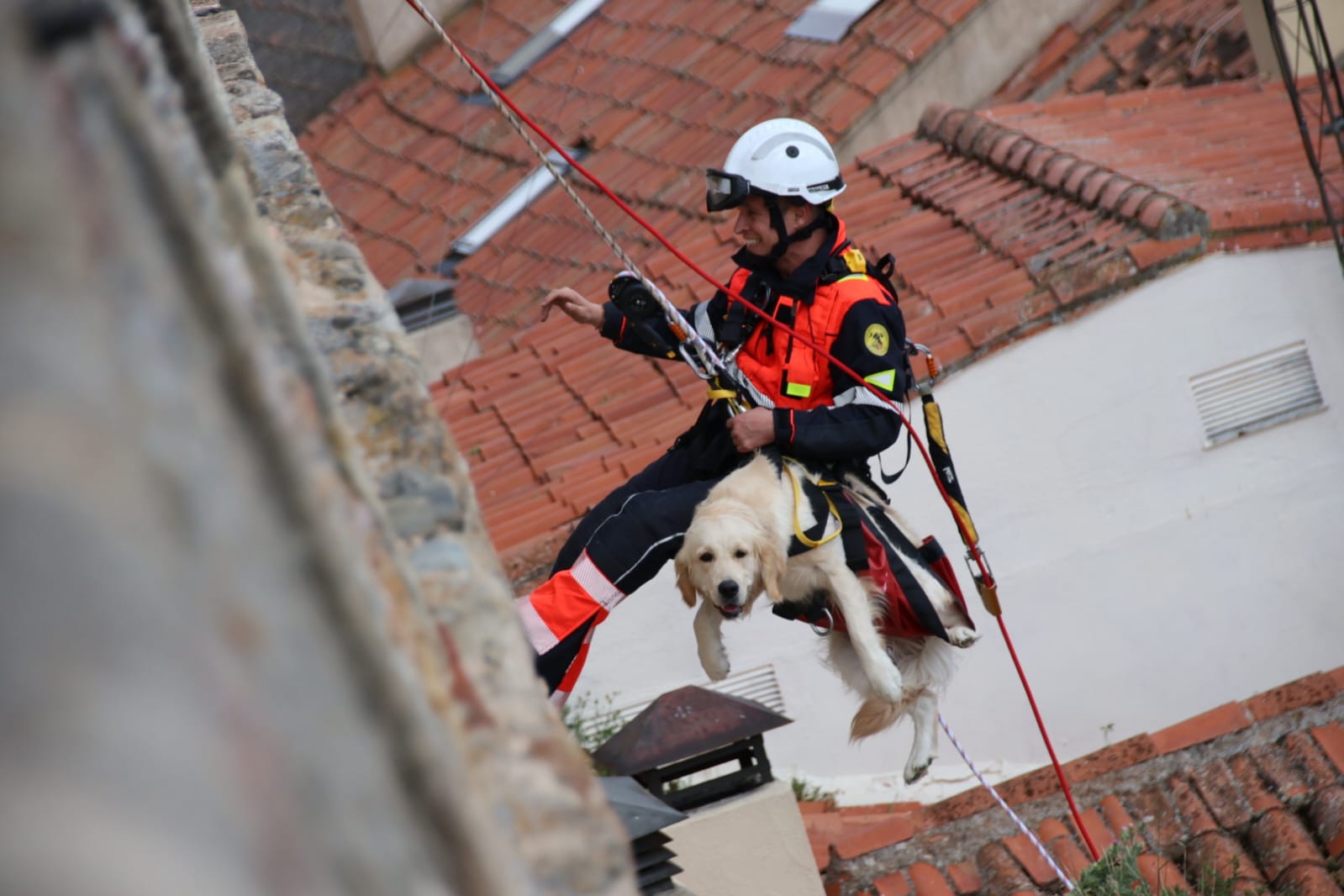 Los bomberos rescatan a un perro en el Jardín Botánico de Salamanca. Fotos Andrea M.  (16)