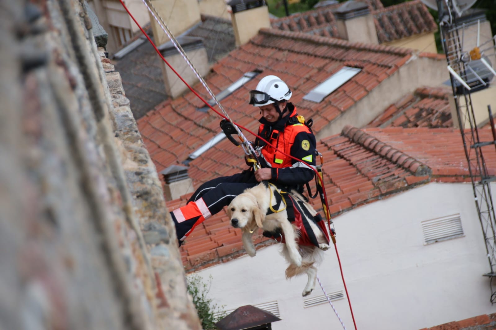 Los bomberos rescatan a un perro en el Jardín Botánico de Salamanca. Fotos Andrea M.  (17)