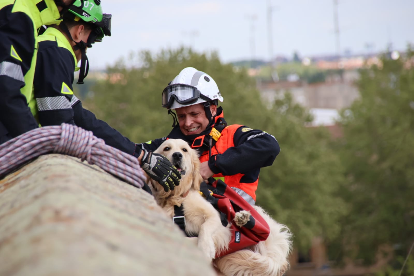 Los bomberos rescatan a un perro en el Jardín Botánico de Salamanca. Fotos Andrea M.  (2)