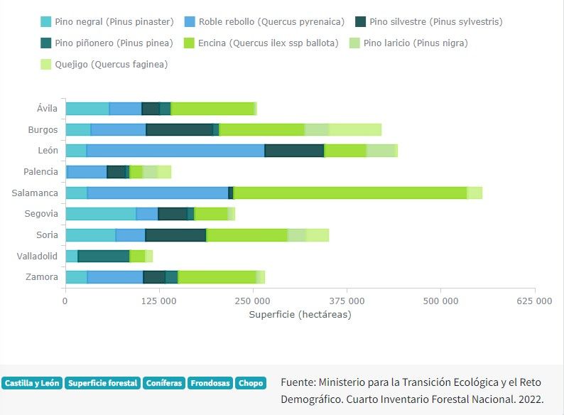 Castilla y León Superficie forestal según especie dominante por provincia