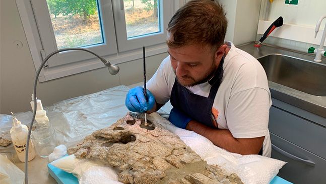 Preparación del cráneo de Asiatosuchus oenotriensis,a cargo de Javier Fernández Martínez GBE UNED