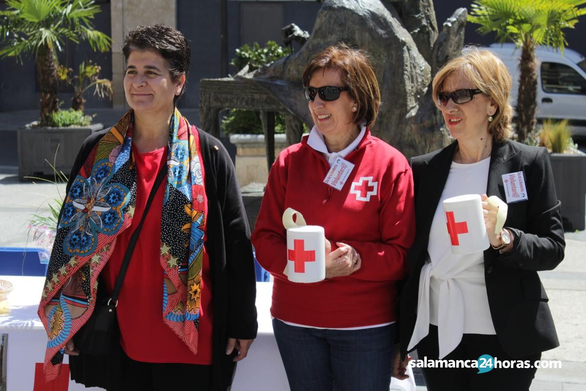  Entrega del cheque de la Diputación a Cruz Roja+ (3) 