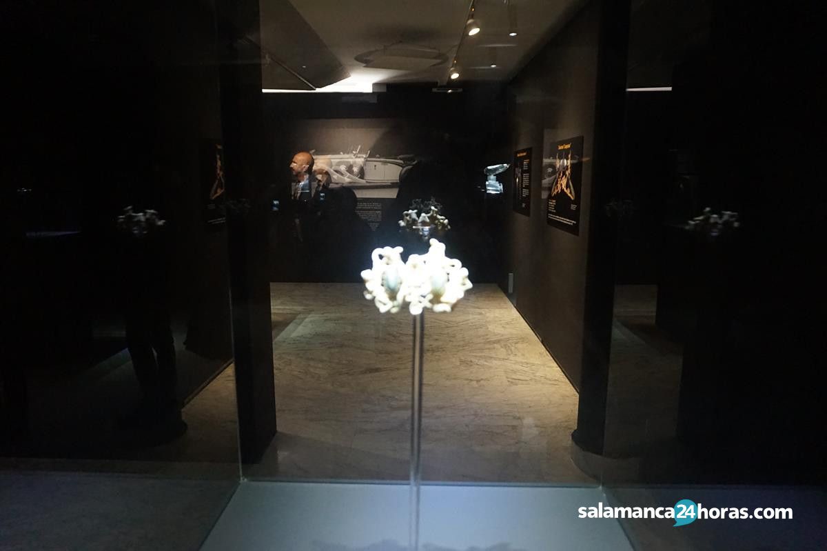  Exposición 'René Lalique, joyero. Colección Fundación Gulbenkian' (20) 