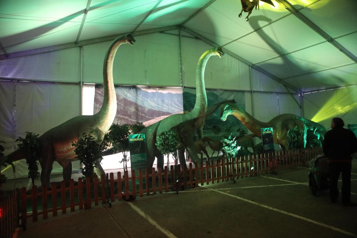  Inauguración Dinosaurs Tour (8) 