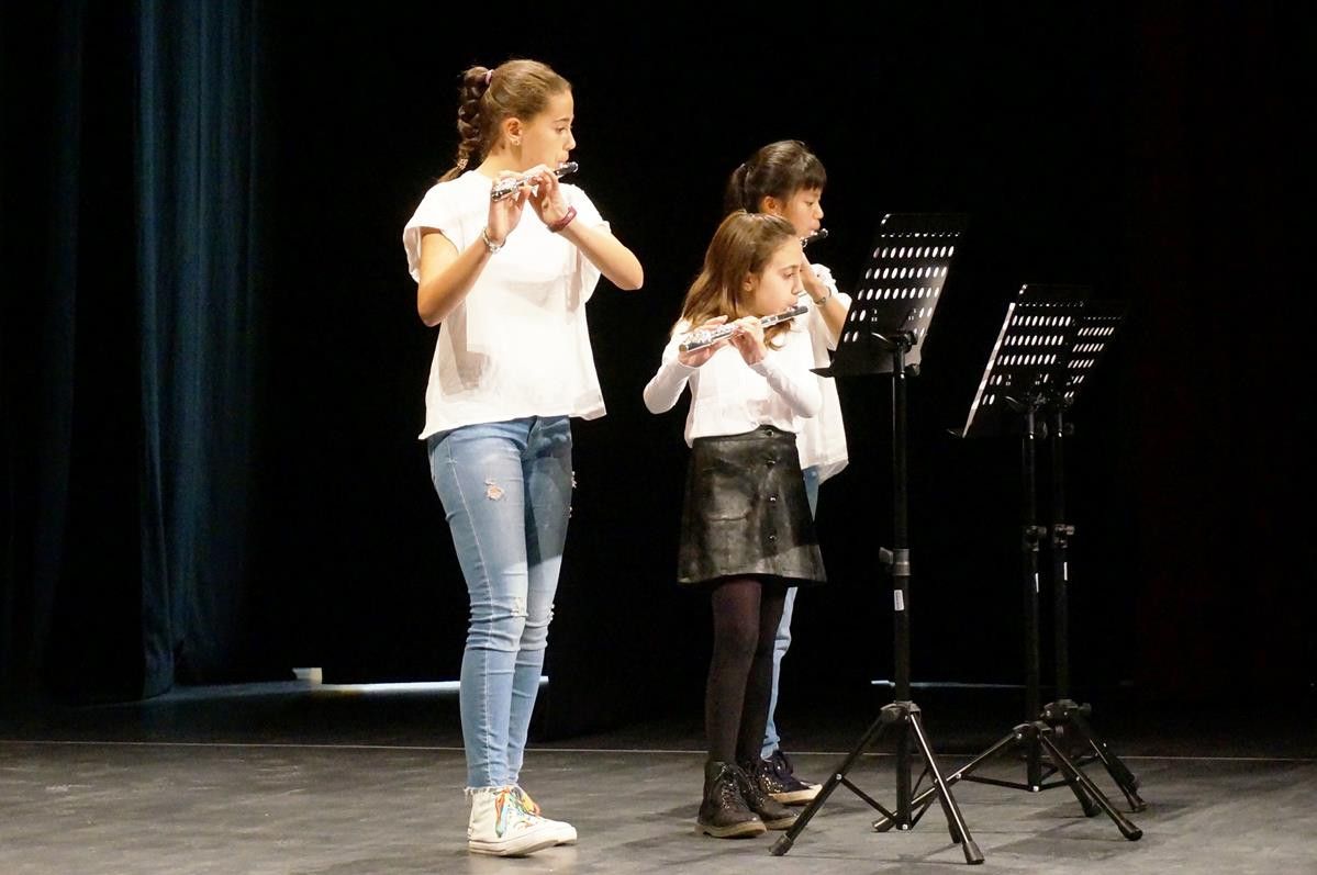  Concierto de Navidad en la Escuela Municipal de Musica de Villares (11) 