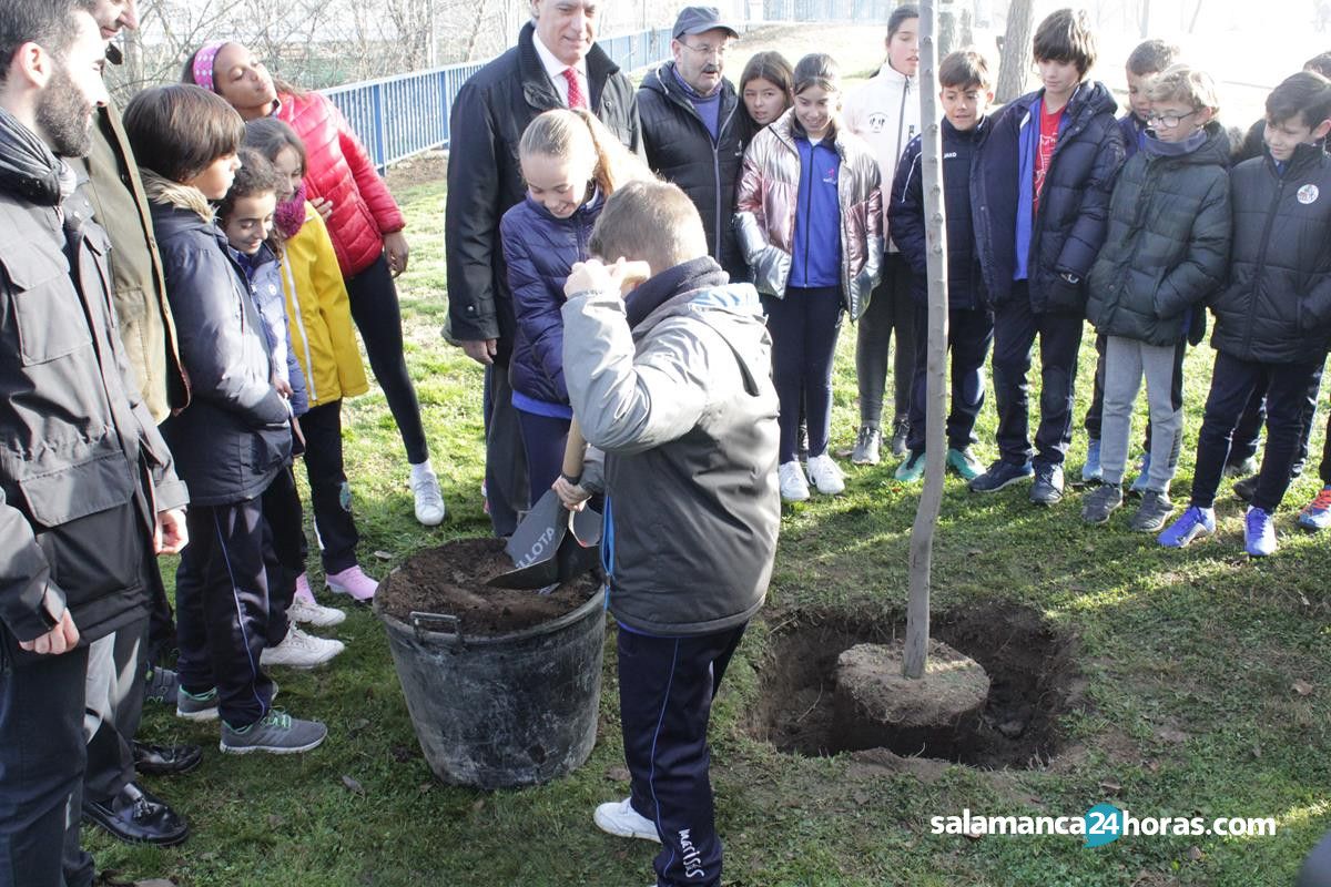 Imagen de archivo de escolares salmantinos plantando un árbol