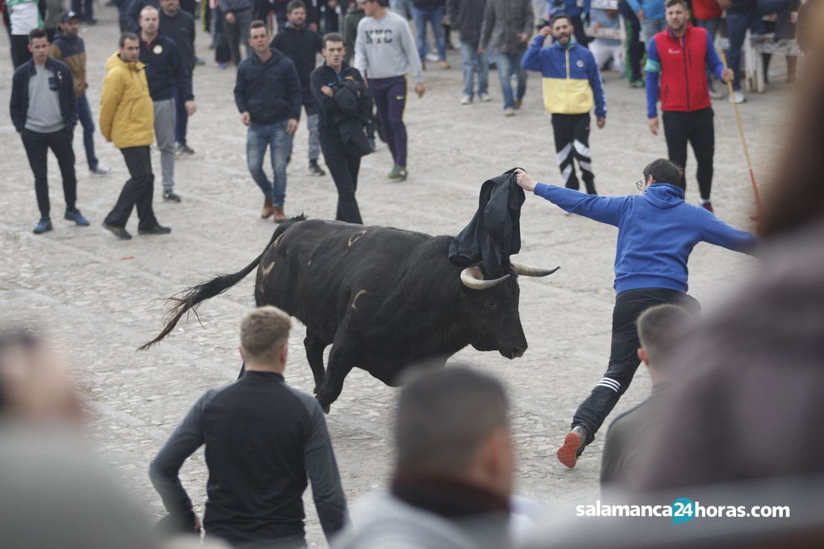  Encierro martes carnaval del toro (51) 