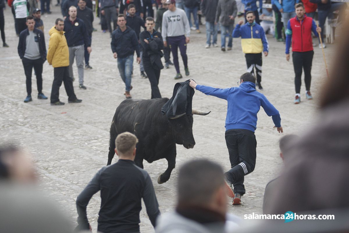  Encierro martes carnaval del toro (50) 
