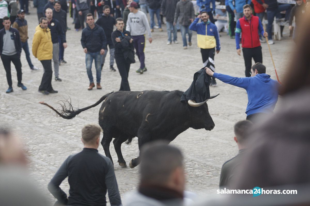  Encierro martes carnaval del toro (52) 