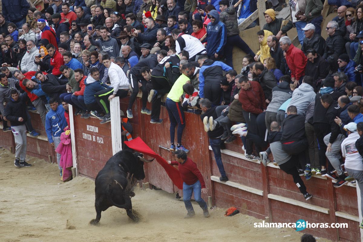  Capea carnaval del toro martes (96) 