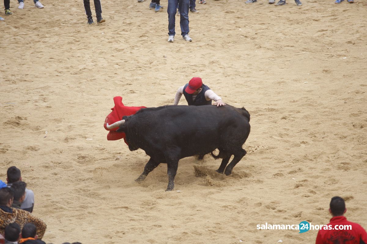  Capea carnaval del toro martes (101) 