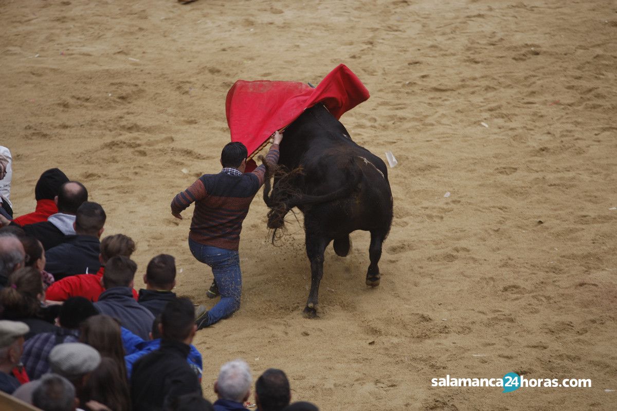  Capea carnaval del toro martes (99) 