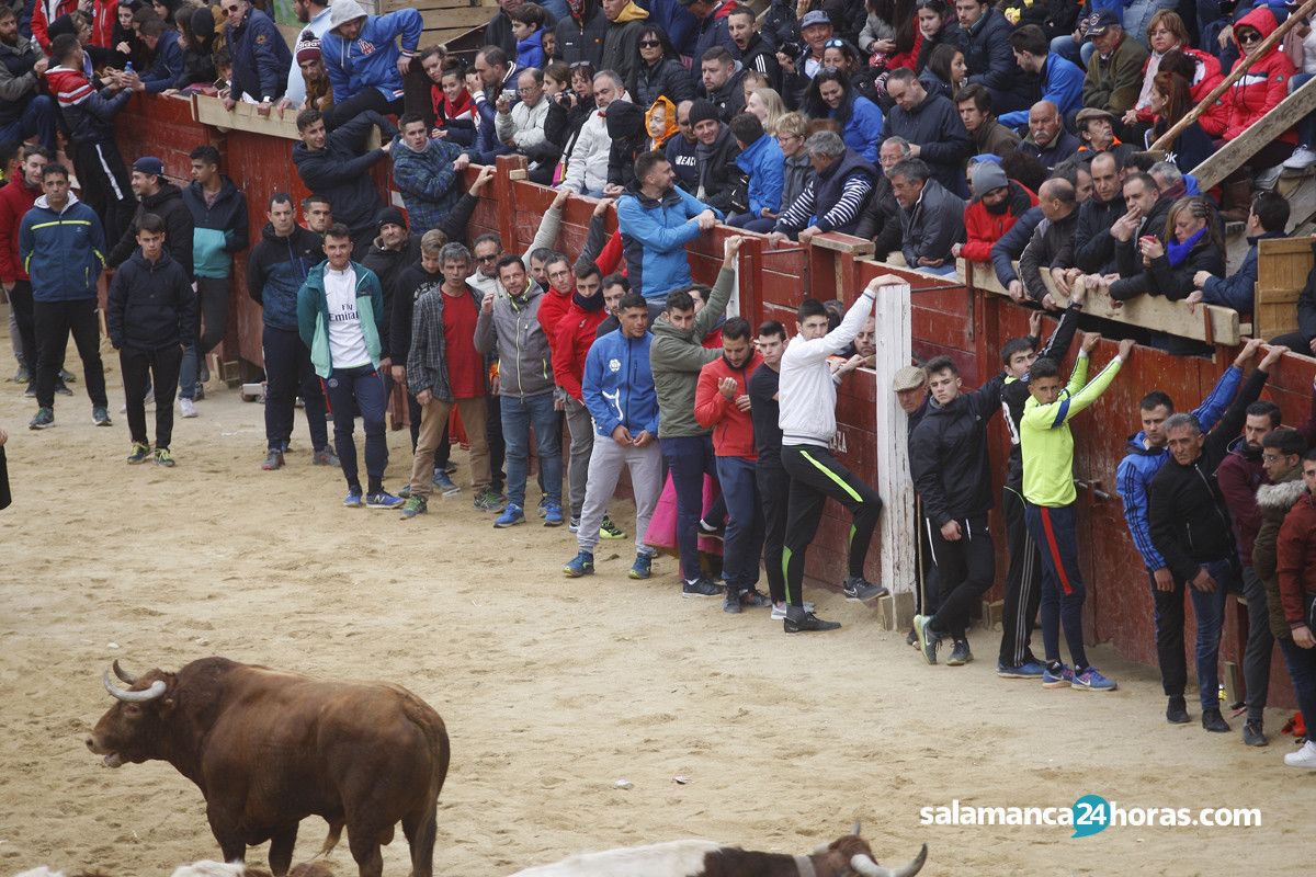  Capea carnaval del toro martes (103) 
