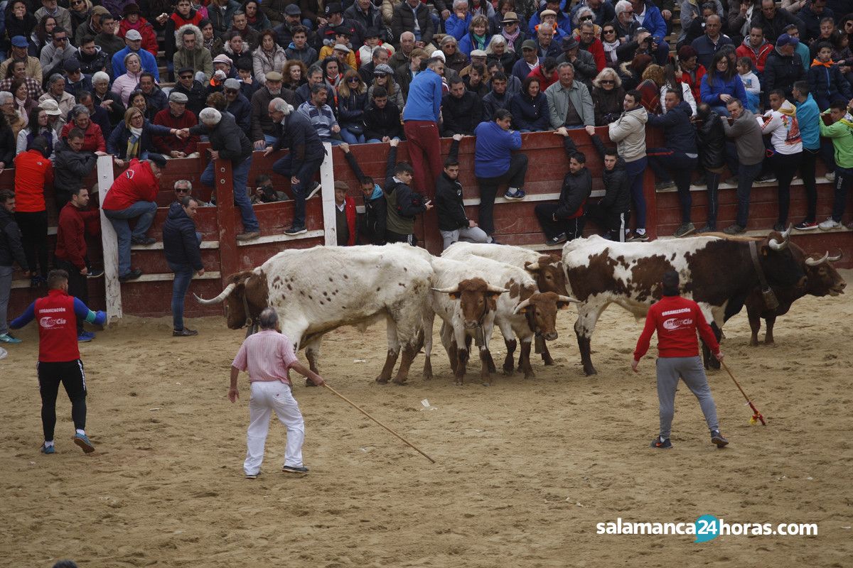  Capea carnaval del toro martes (106) 