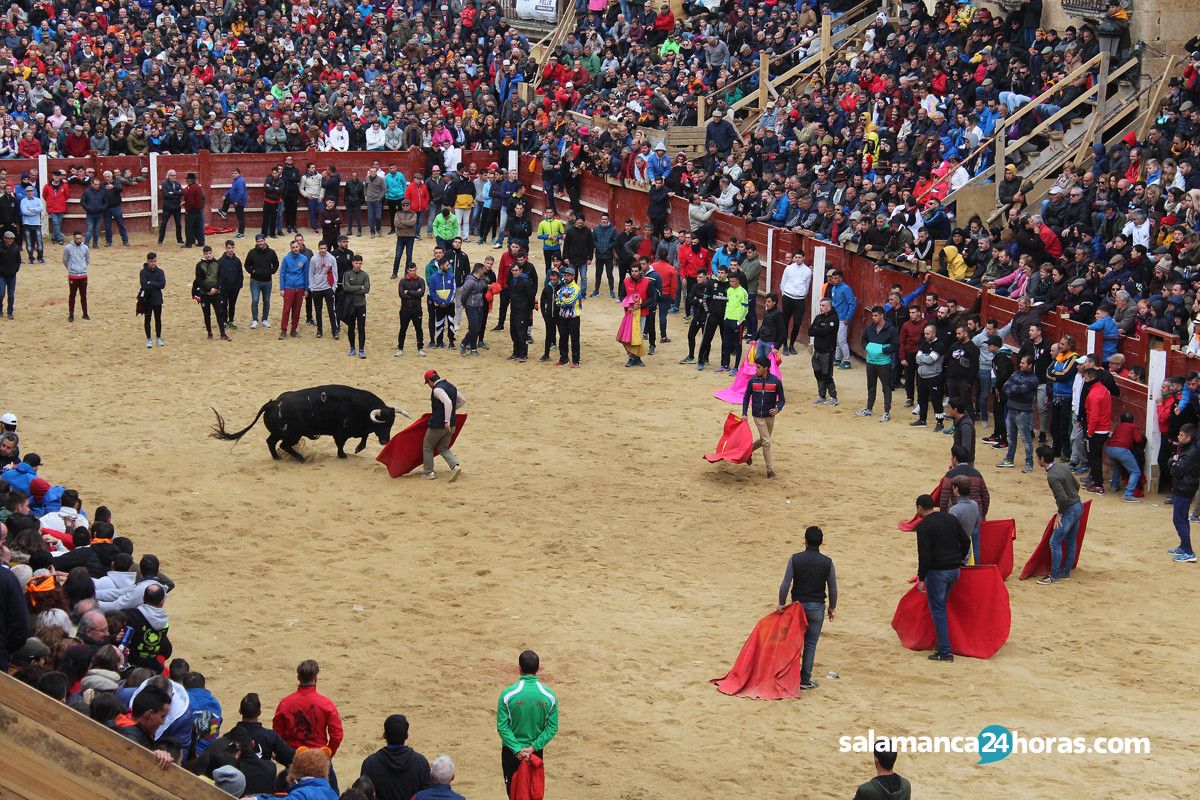  Capea carnaval del toro martes (108) 