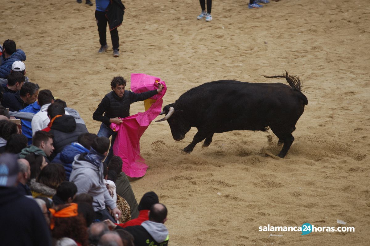  Capea carnaval del toro martes (100) 
