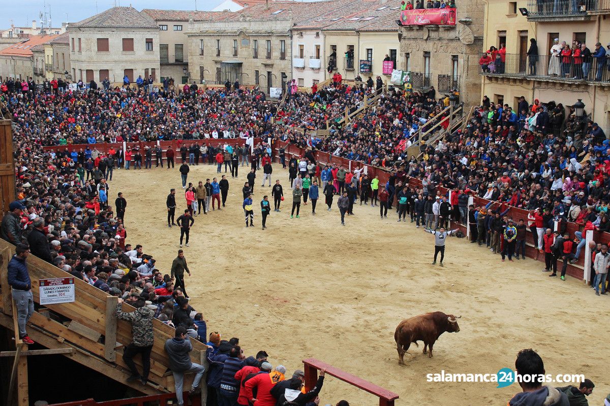  Capea carnaval del toro martes (110) 