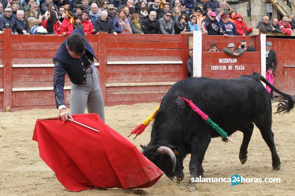  Festejo taurino carnaval del toro (2) 