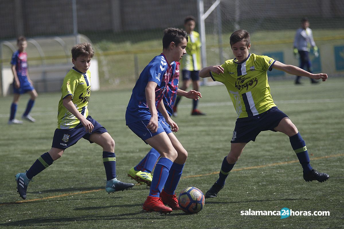  Futbol base regional infantil helmantico segoviana (7) 