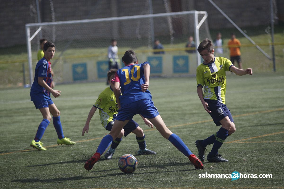  Futbol base regional infantil helmantico segoviana (9) 