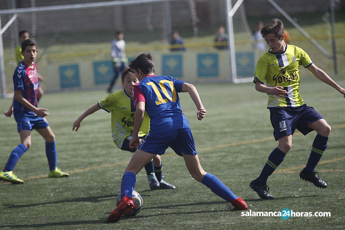  Futbol base regional infantil helmantico segoviana (10) 
