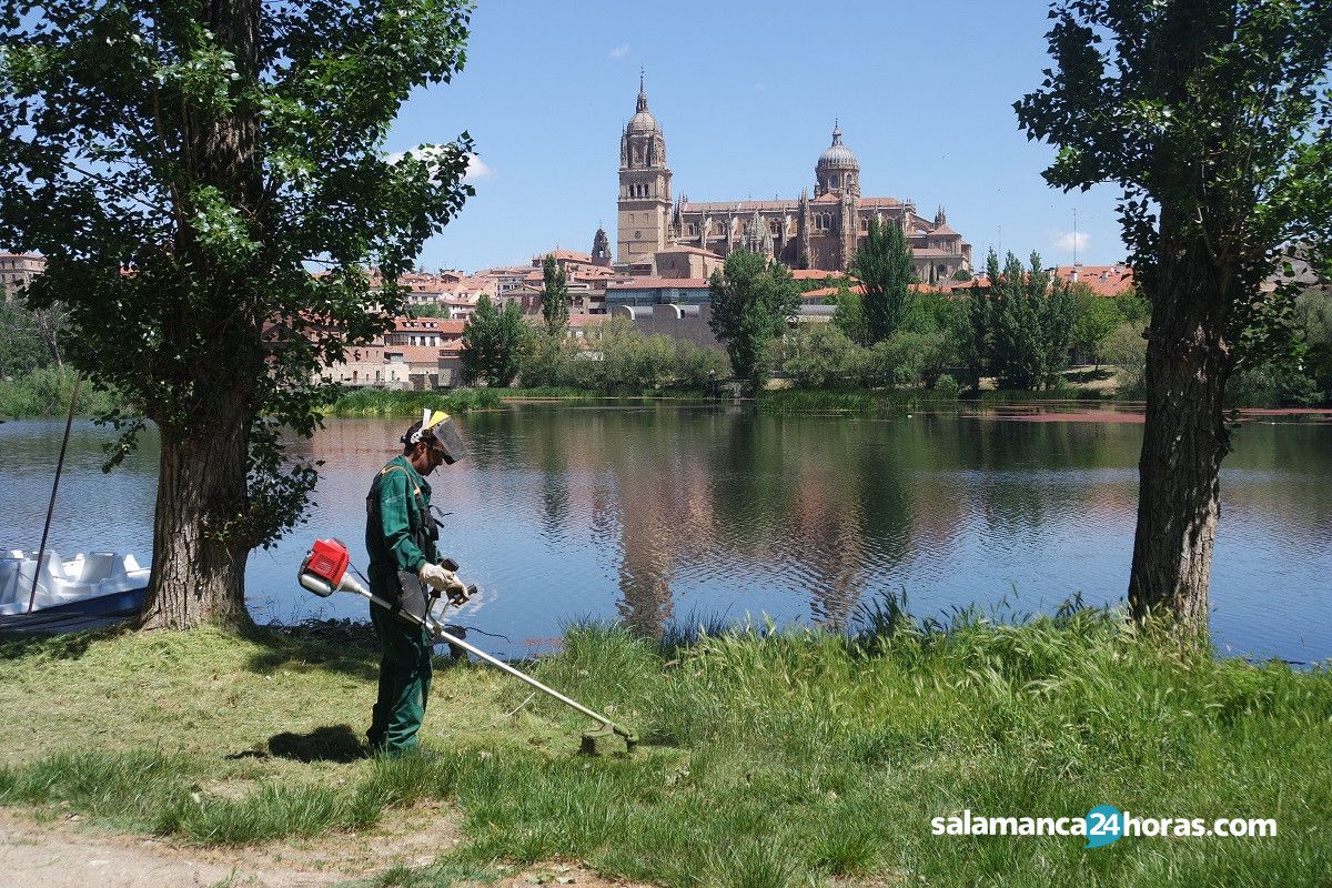 Elecciones jardinero limpieza río Tormes