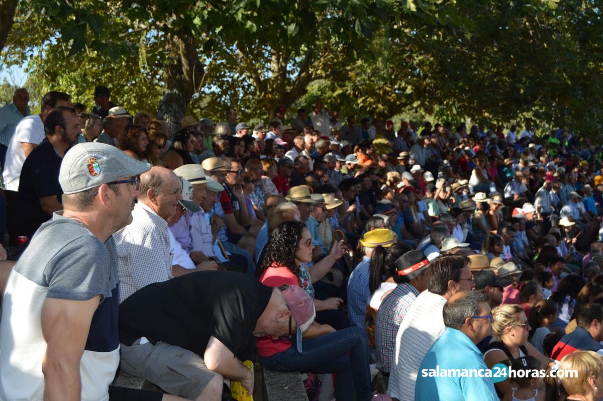  Festival taurino Linares de Riofrío 2019 (94) 