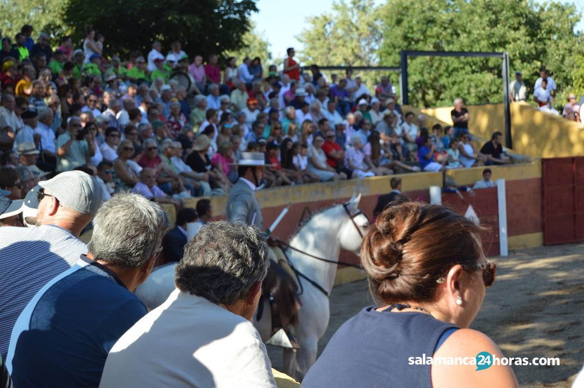  Festival taurino Linares de Riofrío 2019 (86) 