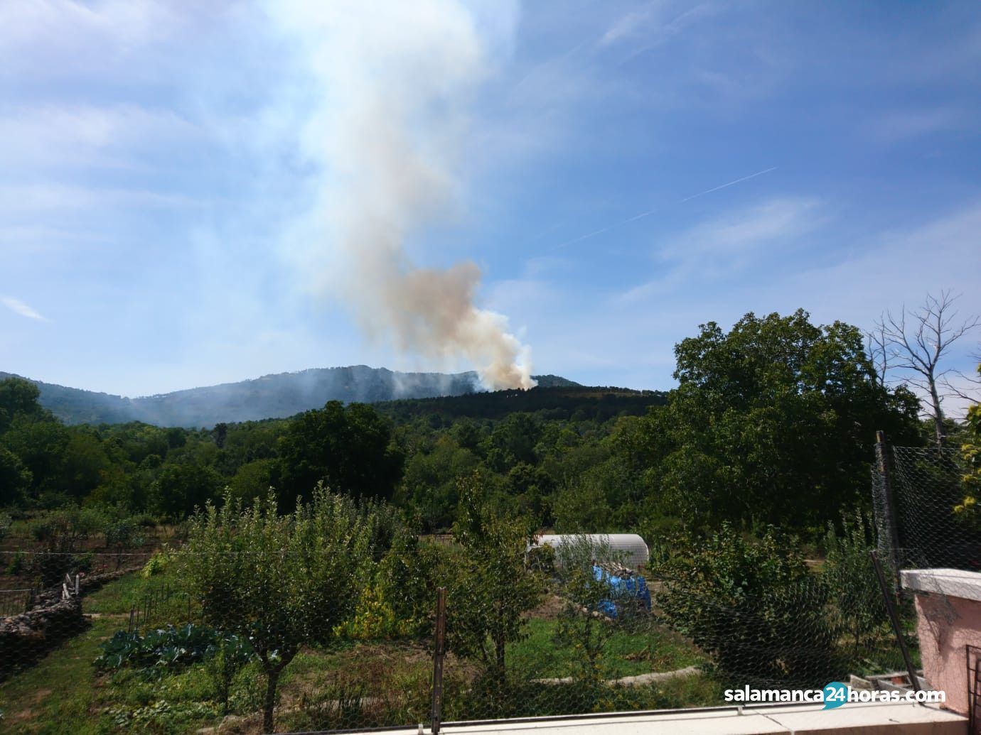  Incendio La Alberca (1) 