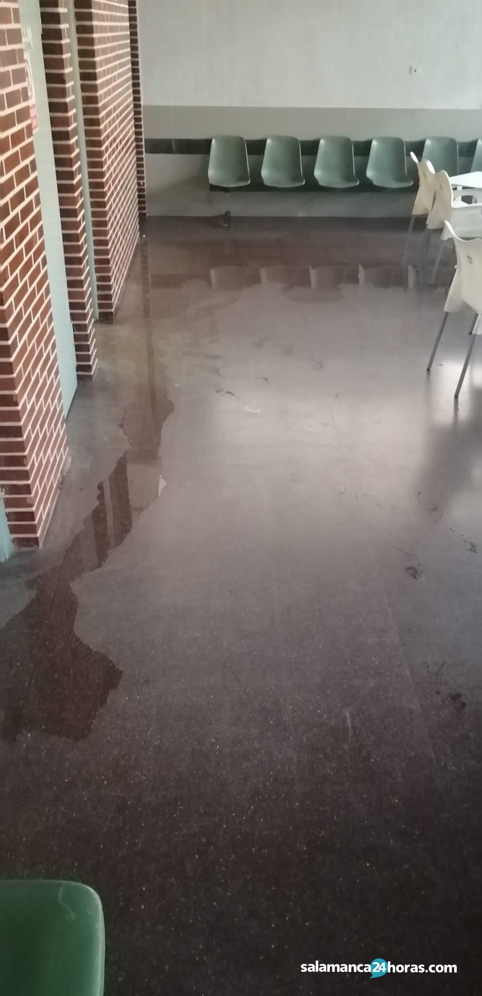  Estacion Alba inundada (7) 
