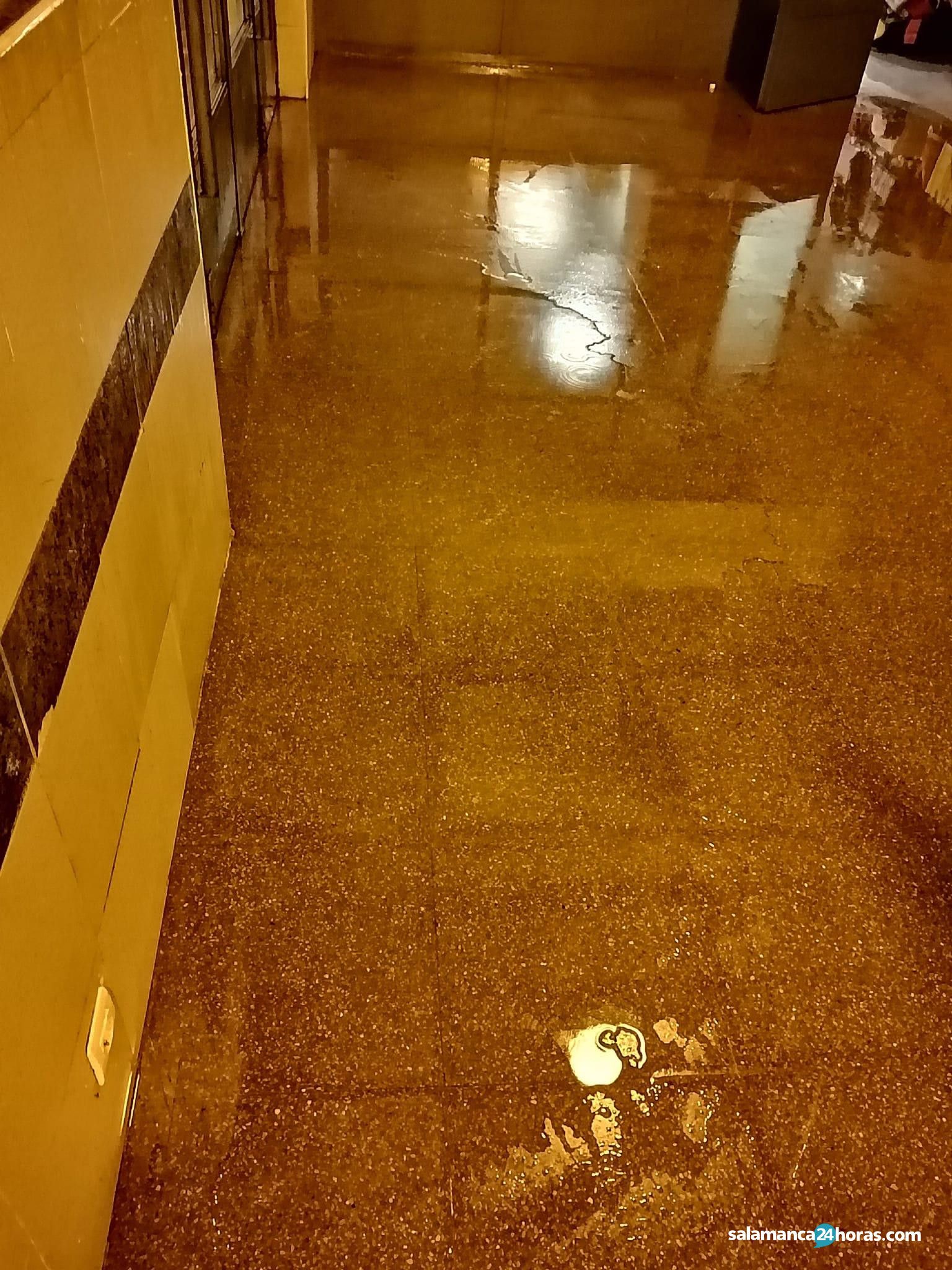  Estacion Alba inundada (6) 