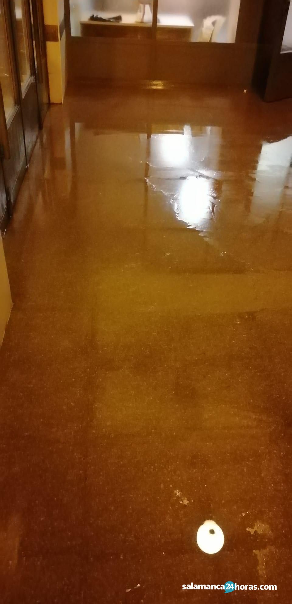  Estacion Alba inundada (3) 