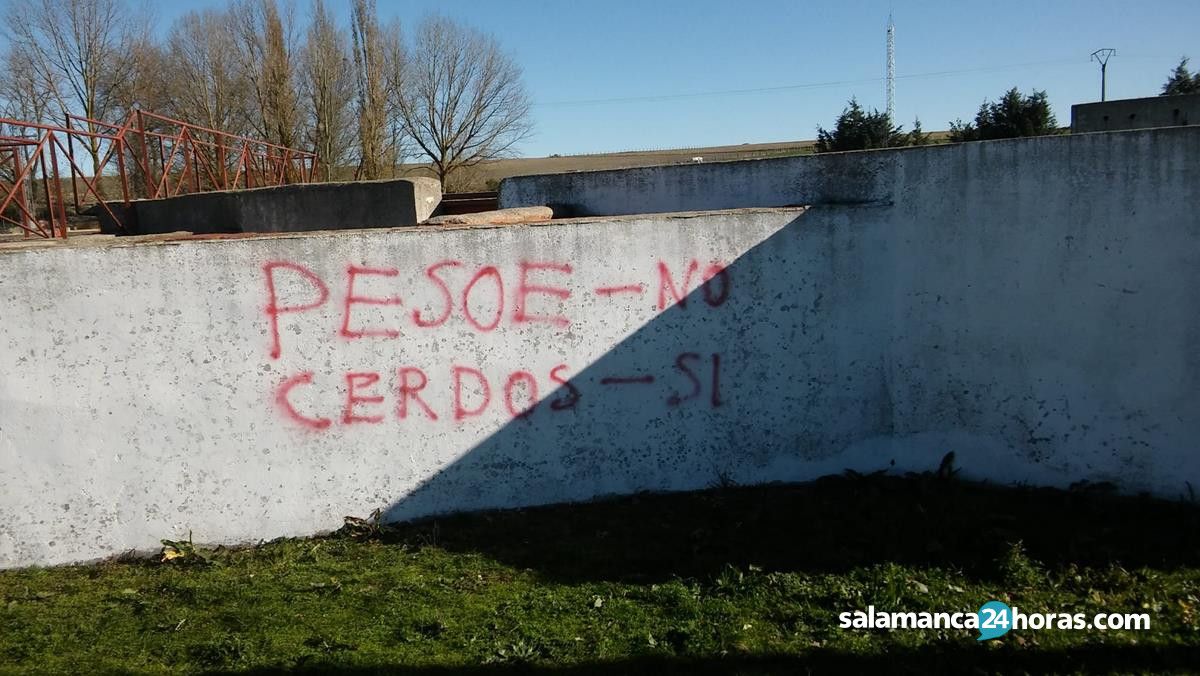 Pintadas contra el PSOE en San Pedro de Rozados (5) 