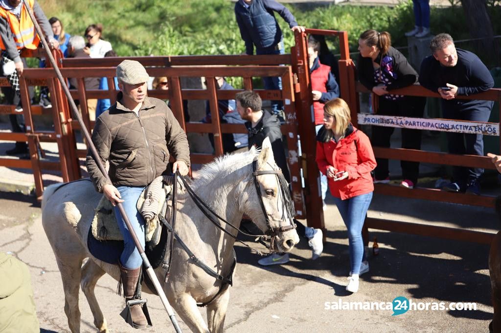  Encierro a caballo Carnaval del Toro 2020 (68) 