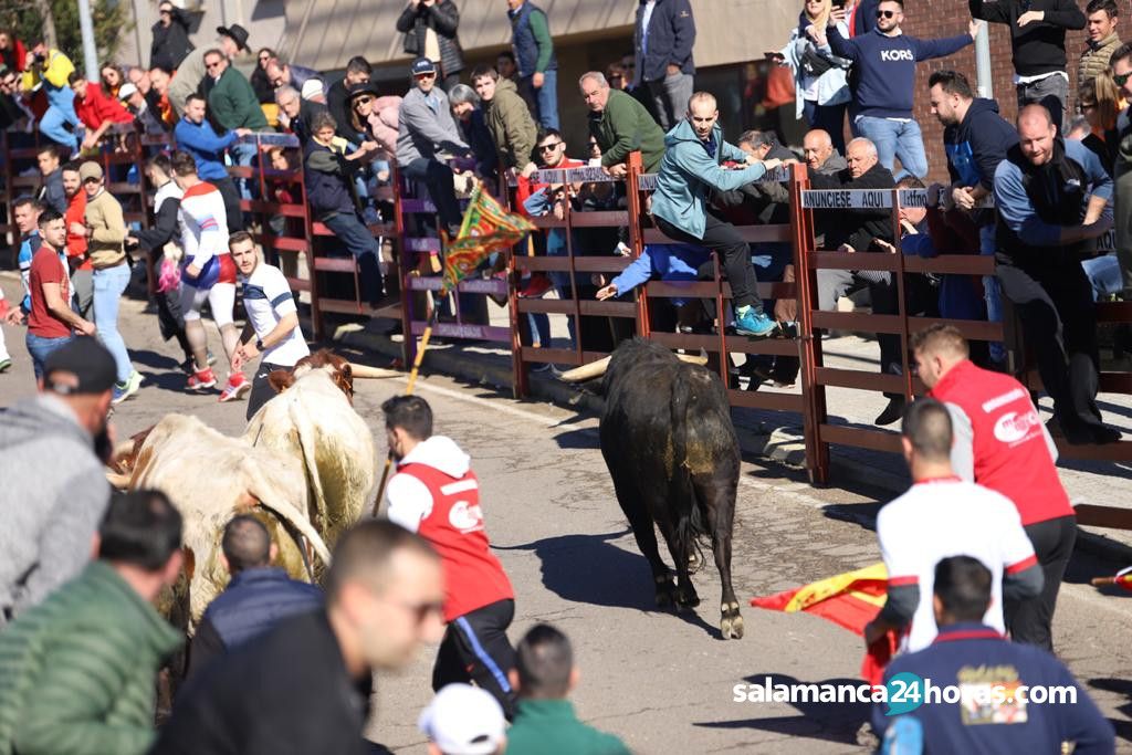  Encierro a caballo Carnaval del Toro 2020 (65) 