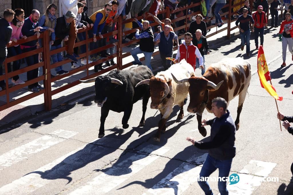  Encierro a caballo Carnaval del Toro 2020 (63) 
