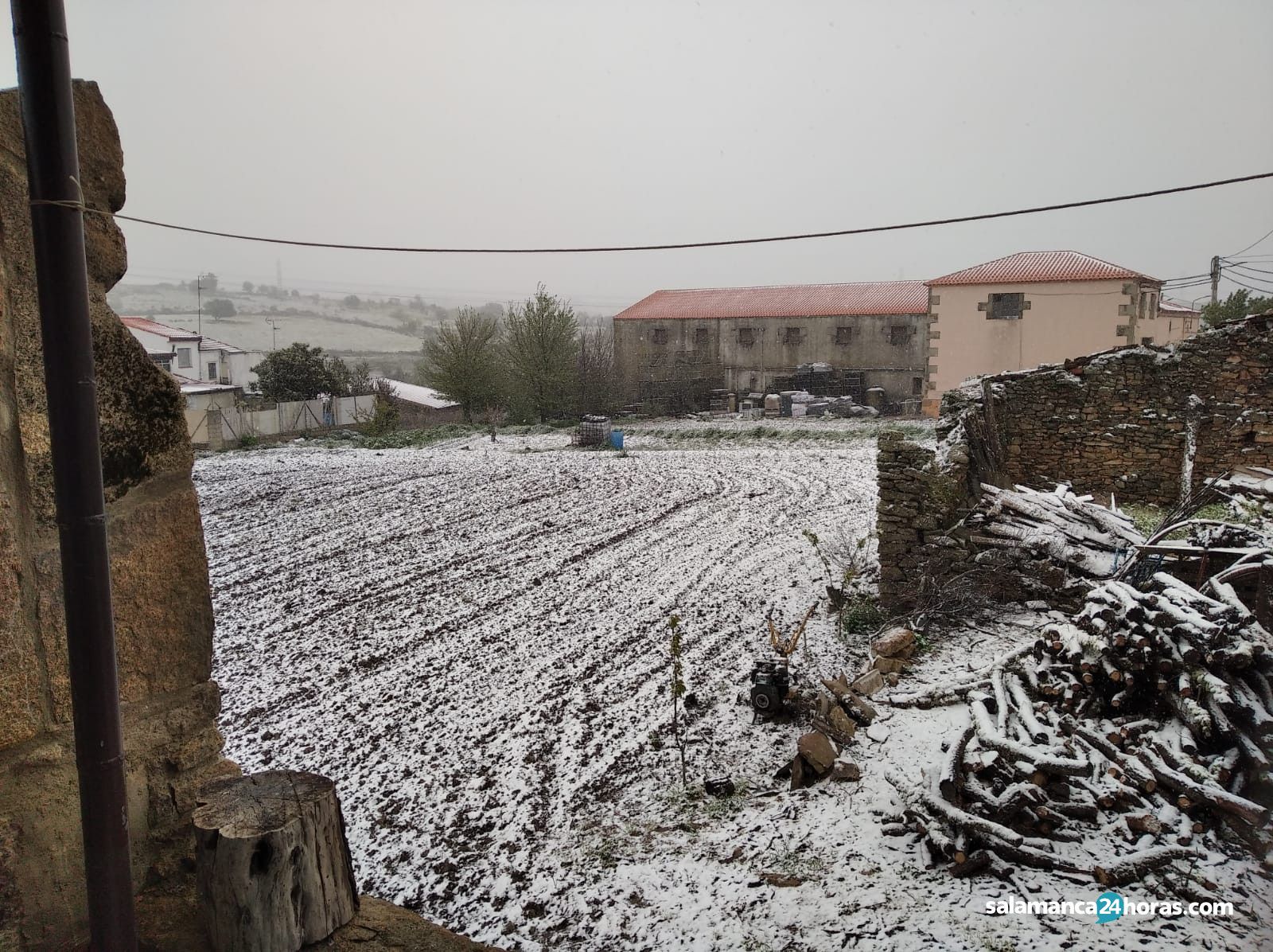  Nieve en Pereña (2) 