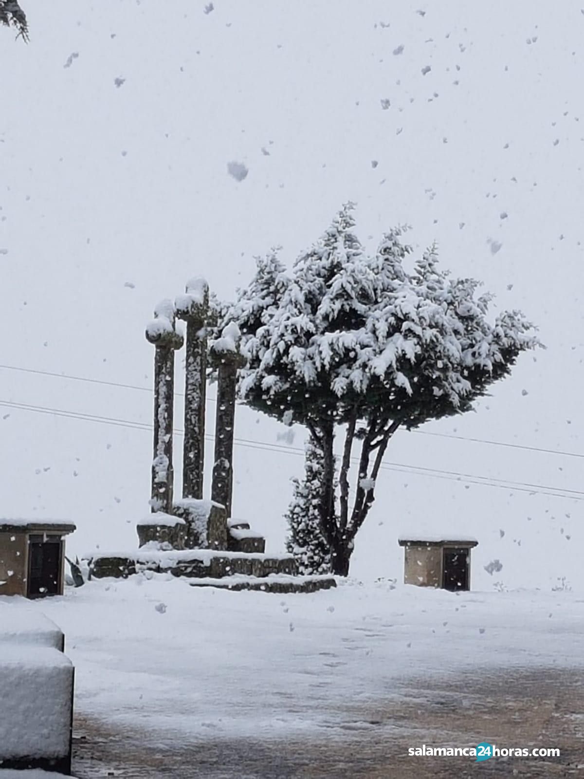  Nieve en Lumbrales e Hinojosa (8) 