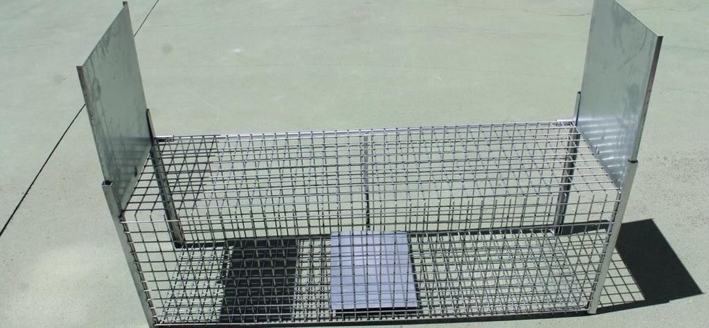 Denuncian la existencia de jaulas trampa para gatos en la carretera de  Ledesma