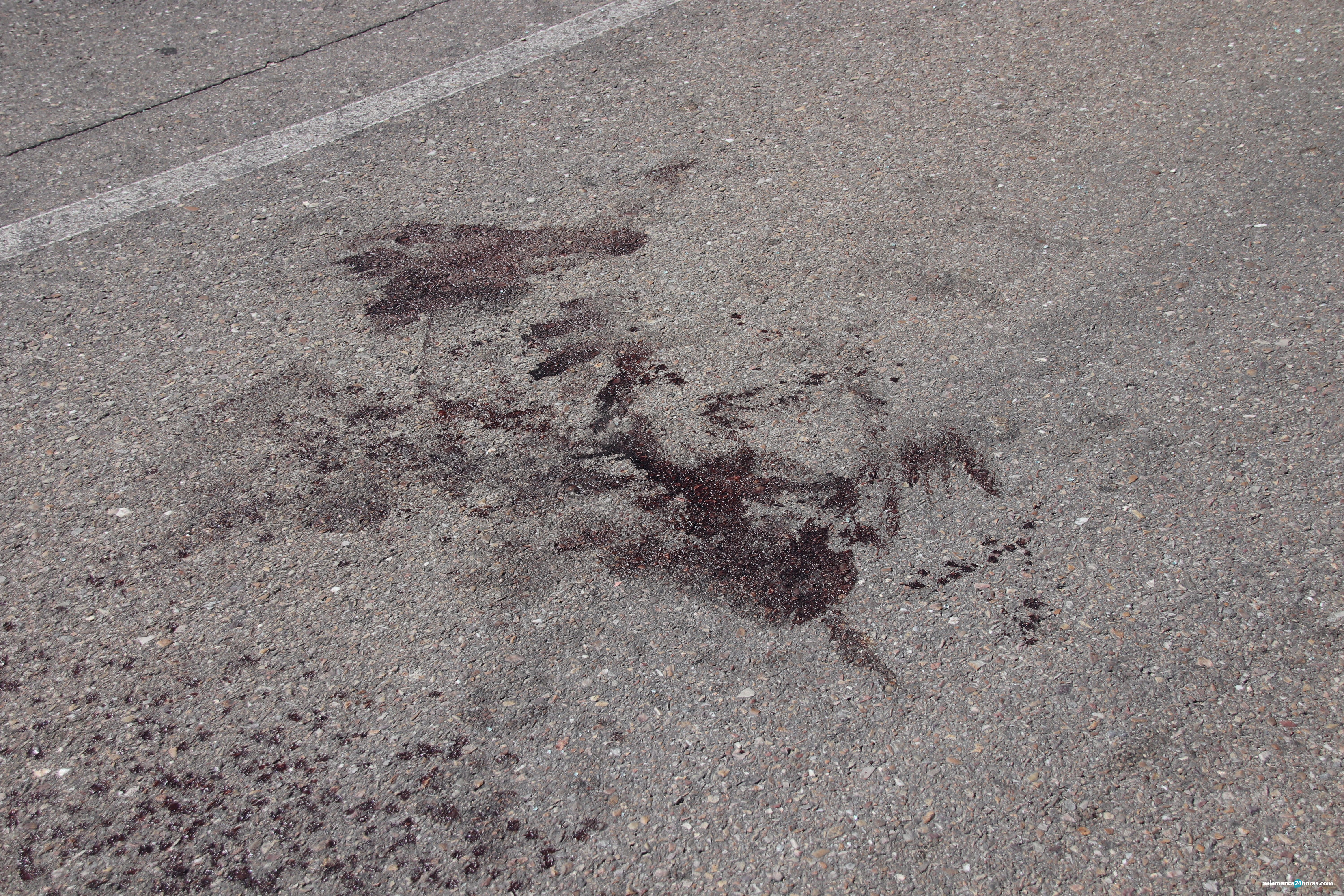 Accidente ciclista en Cabrerizos calle los arroyos (4)