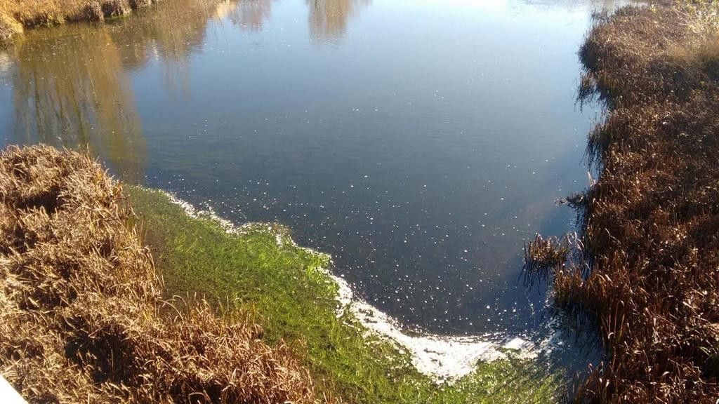  La Confederación Hidrográfica del Duero reitera la ausencia de sustancias contaminantes en el río Tormes 