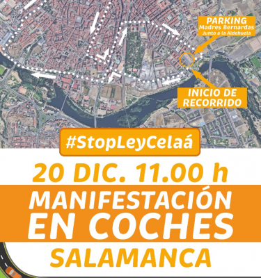 Manifestación de Más Plurales en Salamanca el día 20